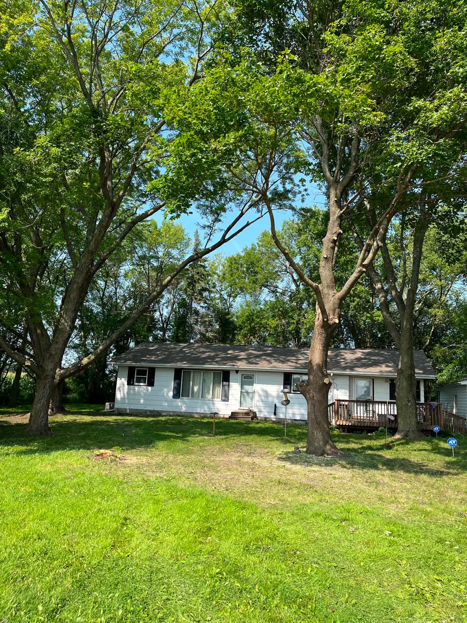 Completed tree removal job